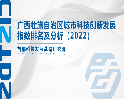 巨屌疯狂操逼网站【成果发布】广西壮族自治区城市科技创新发展指数排名及分析（2022）